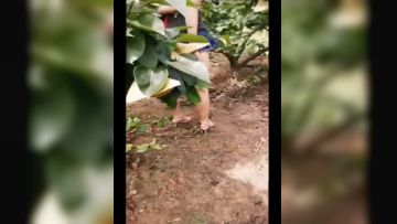 露出系网红@风筝断了线 老人前的露出作品和集