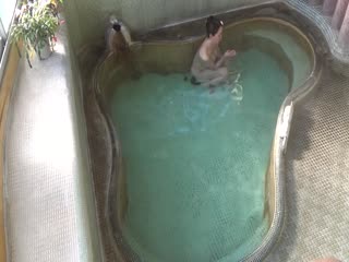 独家映像！！老少男女的汗流浃背性爱偷拍12组4小时 MCSR-504-1684144667