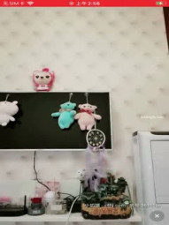 童颜巨乳（奶喵萝莉想被XOXO）00后小可爱兔耳朵奶头超级粉，这奶声的呻吟甜甜 诱惑啊！